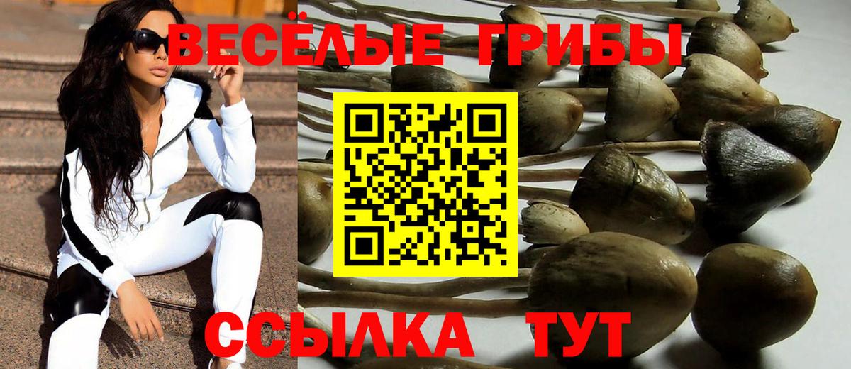 Псилоцибиновые грибы мицелий  Вход с VPN  Коркино 